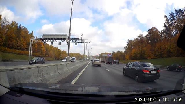 Спас пса, очутившегося на МКАД смотреть онлайн