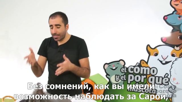 Кролики-кого выбрать: самку или самца? смотреть онлайн