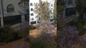 Прощальный школьный вальс, когда уйдём со школьного двора, клип на песню, мое фото 1976 год