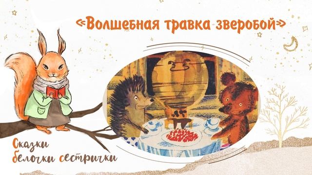 Сказка «Волшебная травка зверобой». Добрые аудиосказки для самых маленьких от белочки-сестрички смотреть онлайн