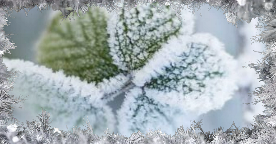 Добрый зимний день?☃️❄️ Хорошего Дня и Отличного Настроения смотреть онлайн