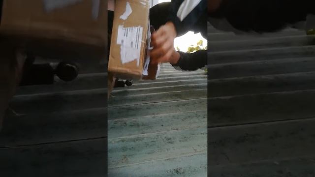 Новые детали для питбайка смотреть онлайн