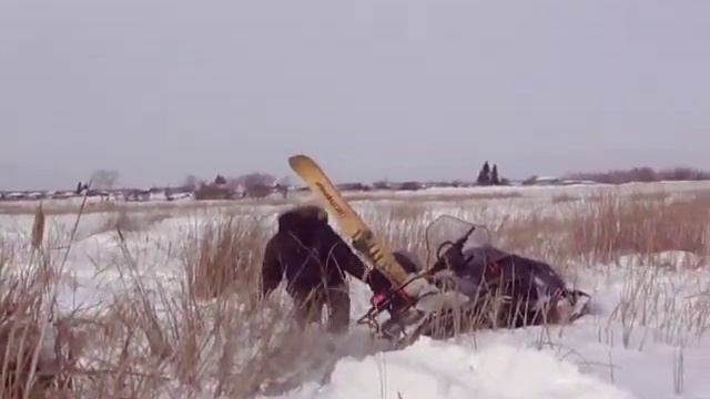 Тайга барс застрял смотреть онлайн