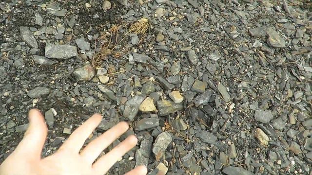 Amazing Fossils Everywhere You Look! (St Clair PA) смотреть онлайн