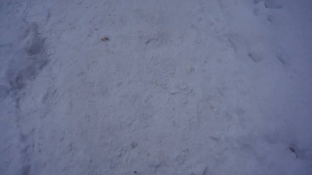 31.01.2016. Киров, ул. Свободы 23, снег,ступеньки... смотреть онлайн