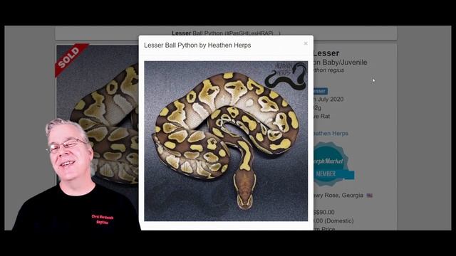 The 'Spinner Blast' Ball Python смотреть онлайн