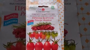 томат принц Боргезе