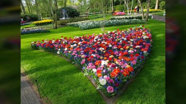 Нидерланды ( Holland). Кёкенхоф ( Keukenhof)- королевский парк цветов. смотреть онлайн