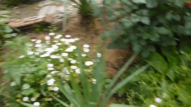 Эксперимент - это интересно 2 смотреть онлайн