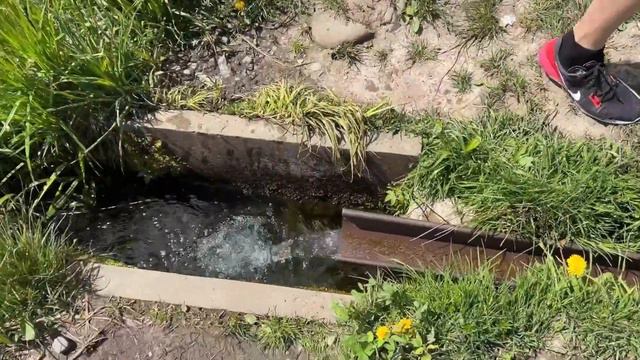 Вода з джерела 💦💧 смотреть онлайн