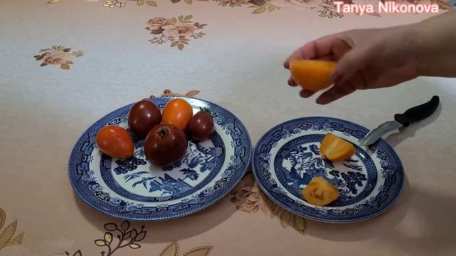 ТОМАТЫ ТРЮФЕЛИ. ОБЗОР И ДЕГУСТАЦИЯ.