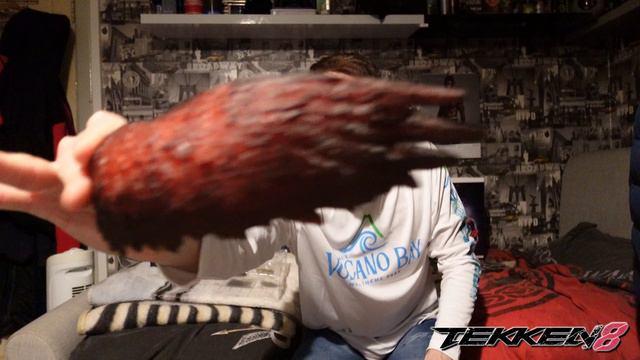 The Ultimate Tekken 8 Collector's Edition Unboxing for PS5 Gamers смотреть онлайн
