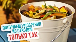 Получение компоста из пищевых отходов зимой. Как зимой приготовить компост?