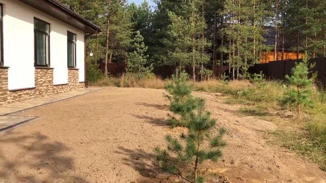 Строим дом из газобетона - Посадка сосен на участке 75 смотреть онлайн