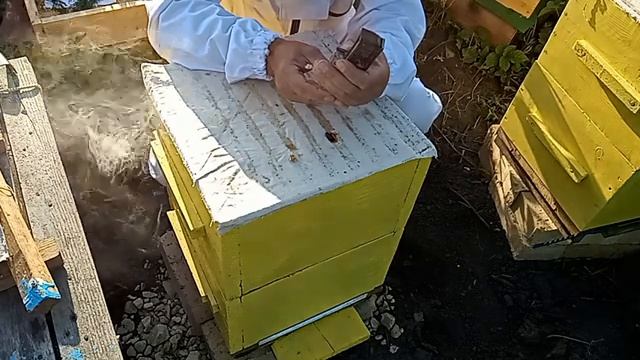 Народный улей Варрэ. Сборка медовика смотреть онлайн