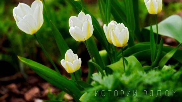 Разорившийся миллионер, приехал проведать мать, которую бросил в глуши 7 лет назад. А открыв дверь смотреть онлайн