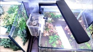 Обзор фильтра рюкзачка.