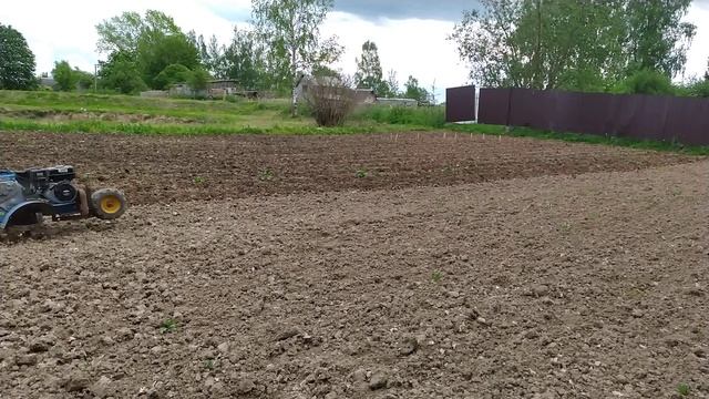 Картофель. Рыхление междурядий. Мотоблок на 2х фрезах. смотреть онлайн
