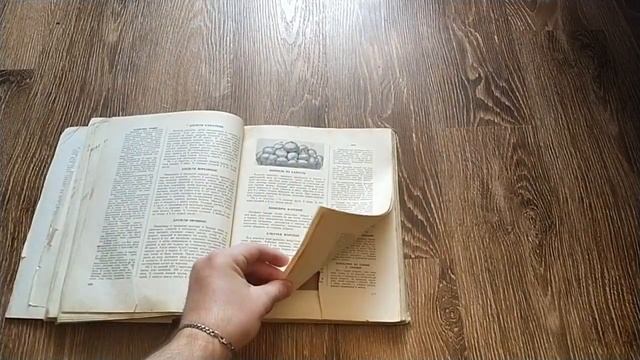 Quickly flip through pages of an old book/Быстрое перелистывание страниц старой книги смотреть онлайн