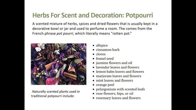 Growing And Preserving Herbs With The Georgetown Horticultural Society