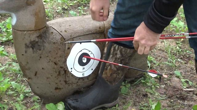 Buck Fever Archery Challenge | Who's going to win?-TideWe смотреть онлайн