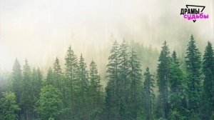 Жена Изменила в моем доме с ДВУМЯ ЛЮБОВНИКАМИ | Удивительные истории Измены Жены - Драмы Судьбы