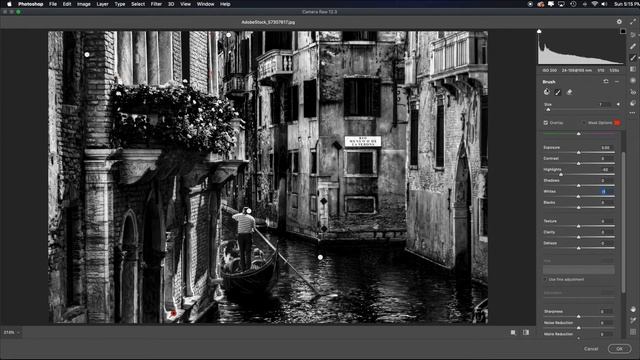 How to Convert to Black & White in Adobe Camera Raw (with Photoshop tweaks). Fine Art Process! смотреть онлайн