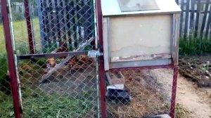 мини-курятник Задумывался как переносной!