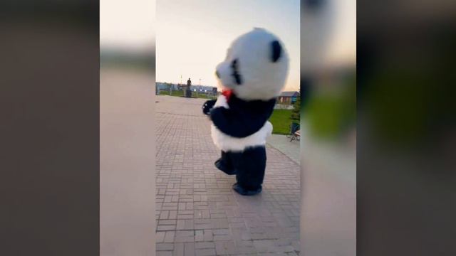 Поздравление от Панды Ульяновск и Ульяновская область. 8-927-241-45-25. #ульяновск #панда смотреть онлайн