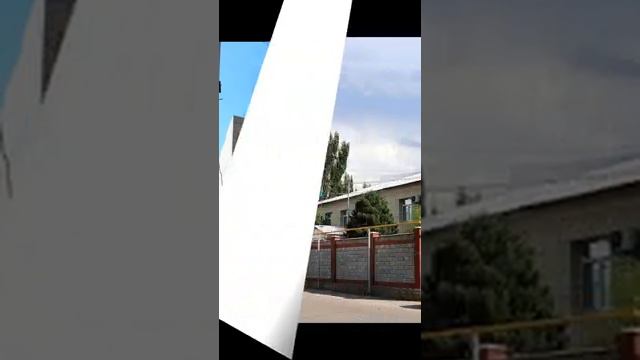 Шелек "В поиске барного стула 🪑-6" смотреть онлайн