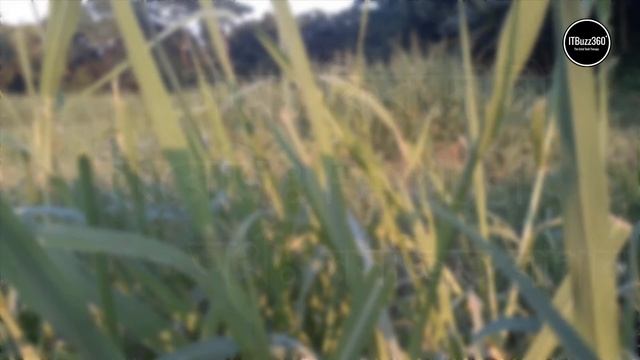 ফ/F দিয়ে মেয়ে বাচ্চাদের ইসলামিক আধুনিক নাম অর্থসহ | F Diye Meyeder Islamic Name Bangla Ortho Soho смотреть онлайн