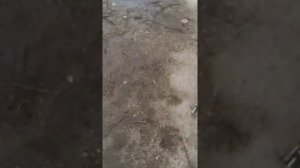 Трос кпп Хово