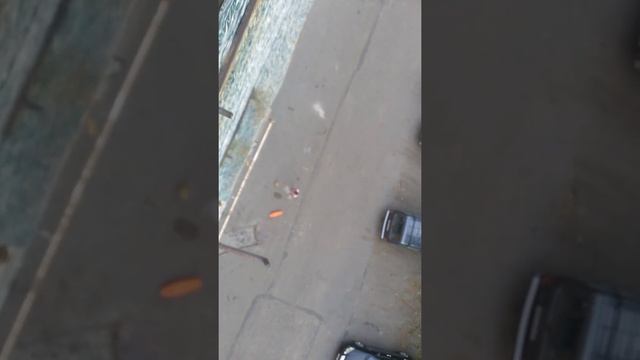 Рыбалка на яграх смотреть онлайн