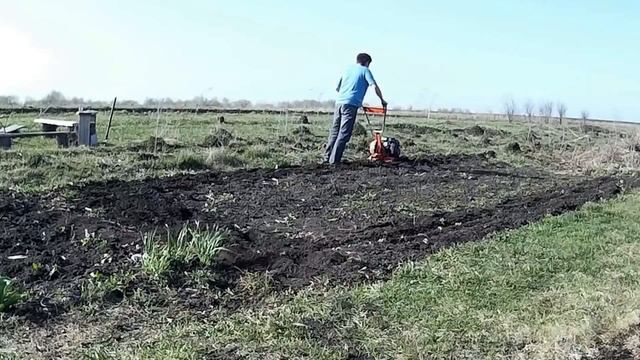 Открываем дачный сезон. Сажаем картошку. (01.05.2017) смотреть онлайн