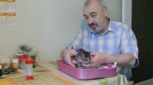 Кормление котёнка из бутылочки с соской 2
