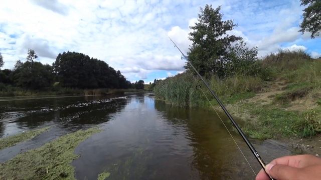Немного рыбалки. Поиски голавля смотреть онлайн