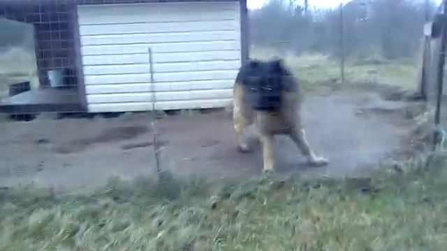 Как установить поливочный кран в частном доме. смотреть онлайн