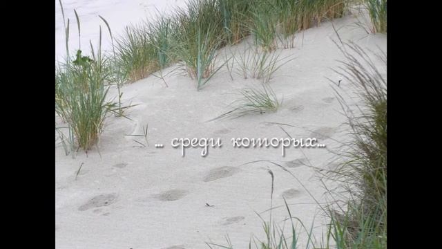 Куршская коса (Калининградская обл.) смотреть онлайн