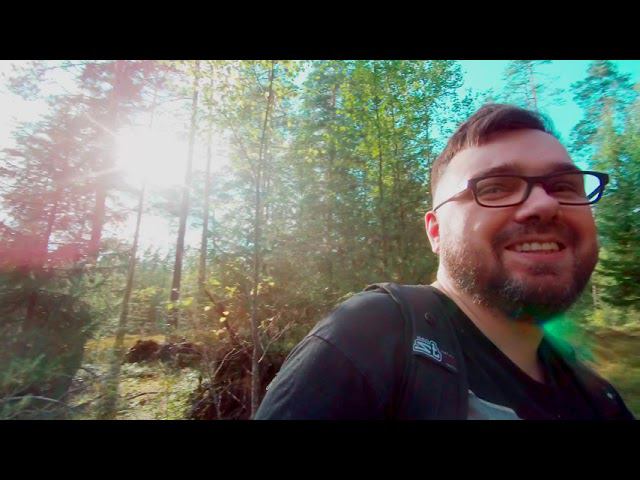 Прошли два дождя - идём за грибами) смотреть онлайн