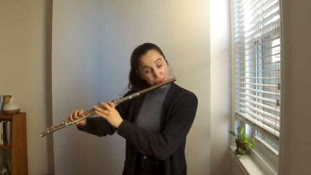 Karg-Elert Caprices 19-21 for Flute смотреть онлайн