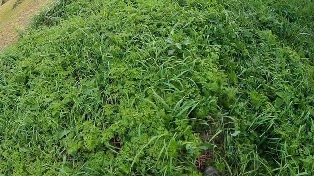 Манипулятор с прицепом,доставка газоблоков очаровательной девушке в пригород Петербурга. смотреть онлайн