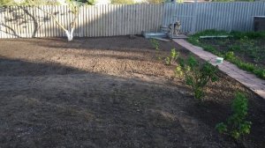 СЕЕМ ГАЗОН своими руками по цене семян именно так! Показываю пошагово процесс и отличный результат