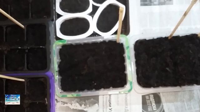 Грунт Огородник, отличный для семян и рассады смотреть онлайн