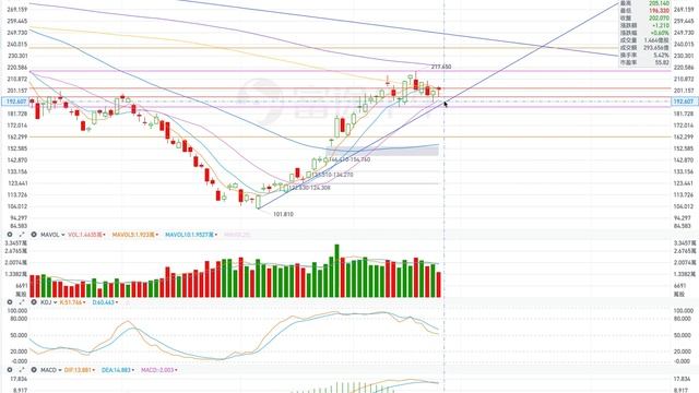 TSLA 特斯拉 股票价格走势的分析 2023年02月24日（第369期） #Tesla #K线技术分析 смотреть онлайн