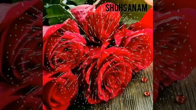 КИЗИМ ТУГИЛГАН КУНИНГИЗ БИЛАН. QIZIM TUGILGAN KUNINGIZ BILAN