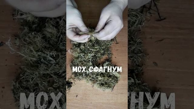 Мешаю грунт для ароидных