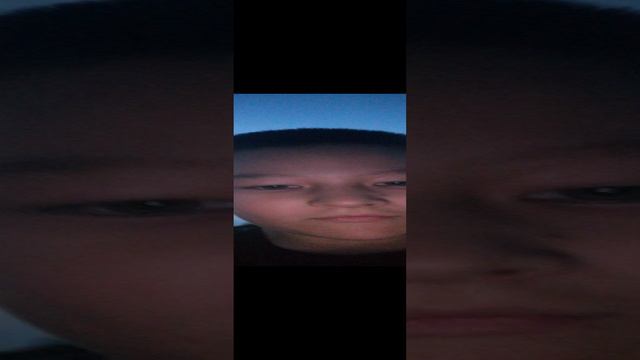 КОШКИ ДЕРУТСЯ