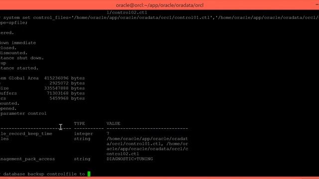 Control files Demo смотреть онлайн