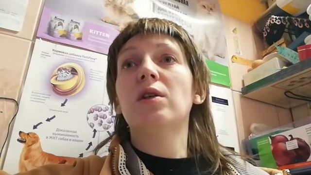 Обзор на Монж (Monge) для собак и щенков.