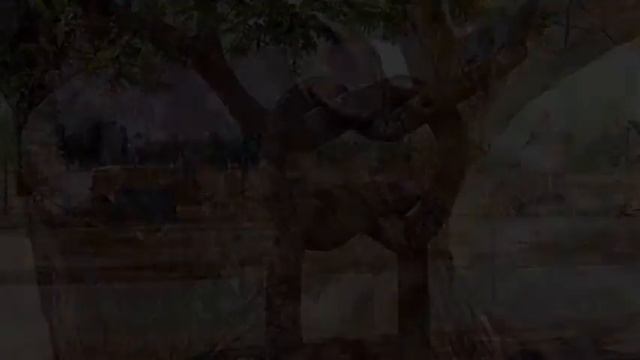 Необычные деревья и лица в них!!! смотреть онлайн